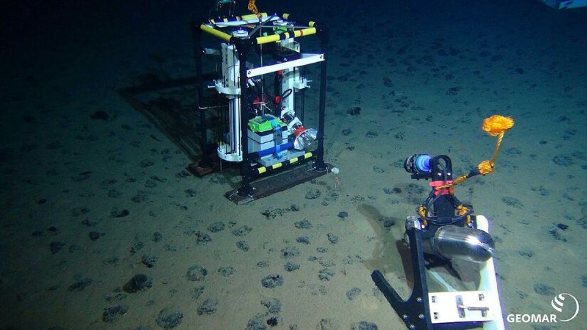 Além da extração direta, a movimentação de máquinas no leito oceânico levanta nuvens de sedimentos que podem viajar por quilômetros, sufocando organismos filtradores em áreas distantes do ponto de mineração/ROV-Team/GEOMAR/Wikimedia Commons