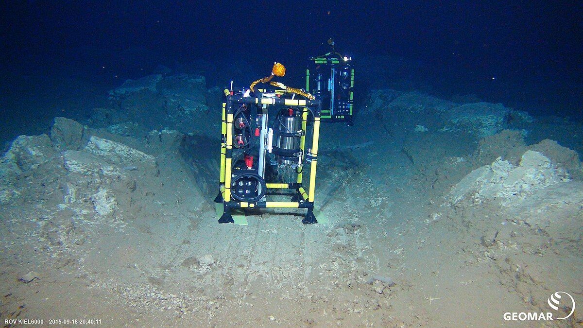 Como grande parte das espécies abissais ainda não possui nome científico, pesquisadores utilizam o sequenciamento de DNA para catalogar a vida marinha antes que o impacto ambiental altere o ecossistema permanentemente/ROV-Team/GEOMAR/Wikimedia Commons