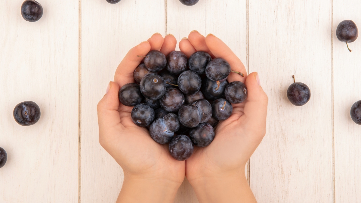 A jabuticaba reúne propriedades que fortalecem o sistema cardiovascular, ajudam a regular o açúcar no sangue e combatem processos inflamatórios / Freepik/stockking
