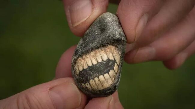 O paleontólogo Jan Hennissen explicou que a peça é uma parte da haste do animal que se partiu e curvou de forma longitudinal, criando a ilusão perfeita de uma boca com dentes