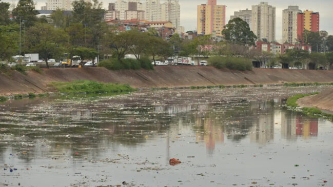 Em regiões altamente industrializadas, a exposição contínua a toxinas cria uma pressão seletiva intensa
