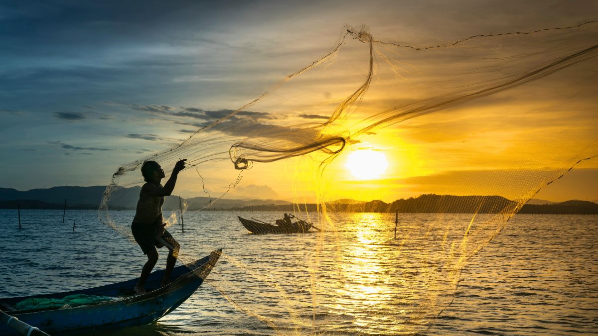 Portaria federal autoriza uso assistido da rede boieira na pesca artesanal em Caraguatatuba/Pexels