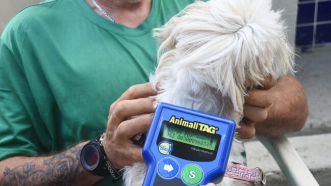 A microchipagem é fundamental para facilitar a identificação e a localização de animais perdidos