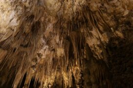 Novas bat caves revelam a importância vital desses animais para o equilíbrio da natureza