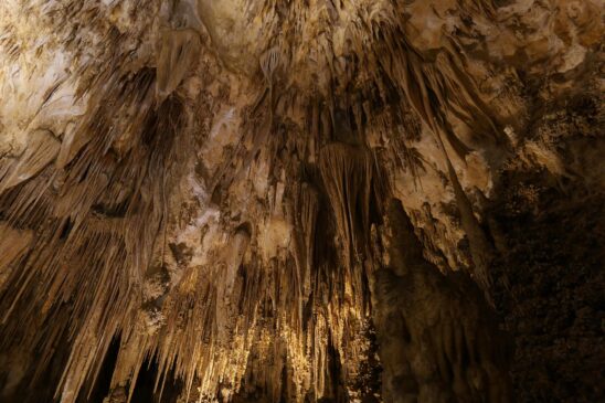 Novas bat caves revelam a importância vital desses animais para o equilíbrio da natureza