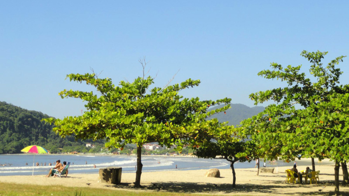 No estado de São Paulo, a Praia do Perequê-Açu, em Ubatuba, lidera o volume de pesquisas