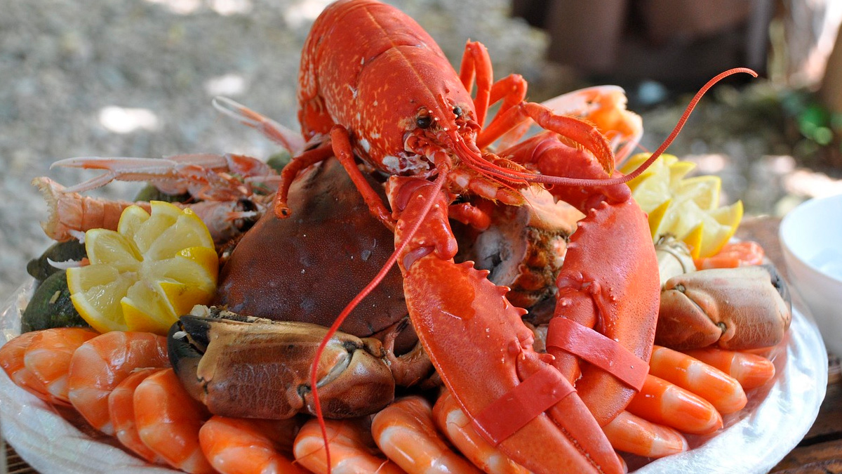 Símbolo de luxo na gastronomia: a lagosta é considerada um dos frutos do mar mais sofisticados do mundo e está presente principalmente em restaurantes de alto padrão. Pixabay