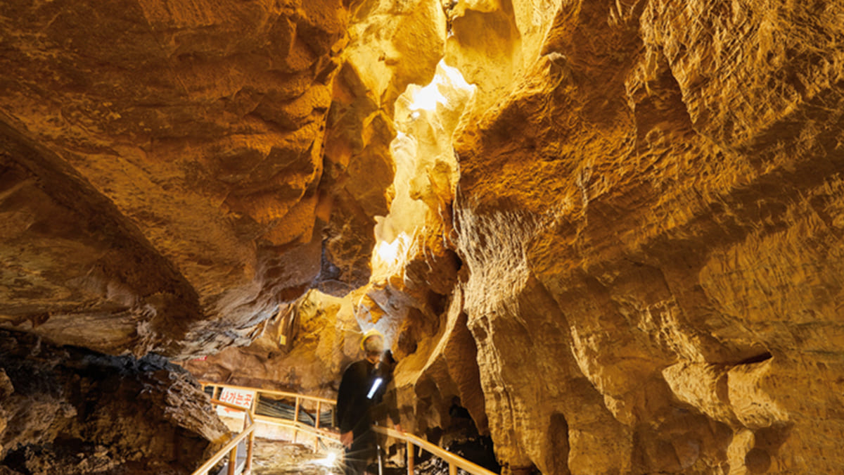 A Caverna dos Morcegos Dourados de Cheongok é a única caverna de calcário da Coreia situada exatamente no coração de uma zona urbana / Korea Tourism Content Lab