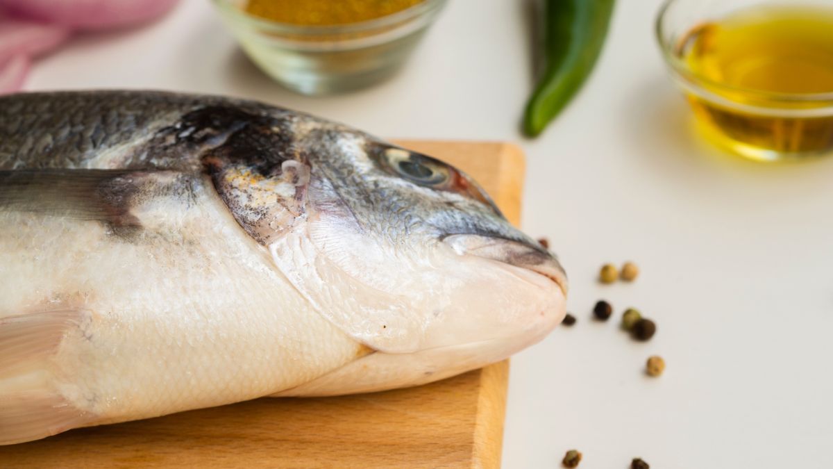 O robalo é rico em magnésio, cálcio, ferro e zinco, nutrientes importantes para cicatrização e fortalecimento do organismo/Freepik