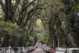 Rua Gonçalo de Carvalho se tornou parada obrigatória para quem visita Porto Alegre