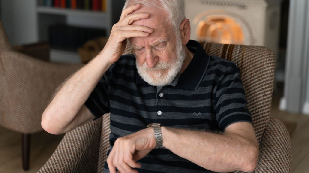 Esse fenômeno é considerado fundamental para a estabilização das memórias recém-formadas, reforçando o caminho percorrido e consolidando as experiências vividas