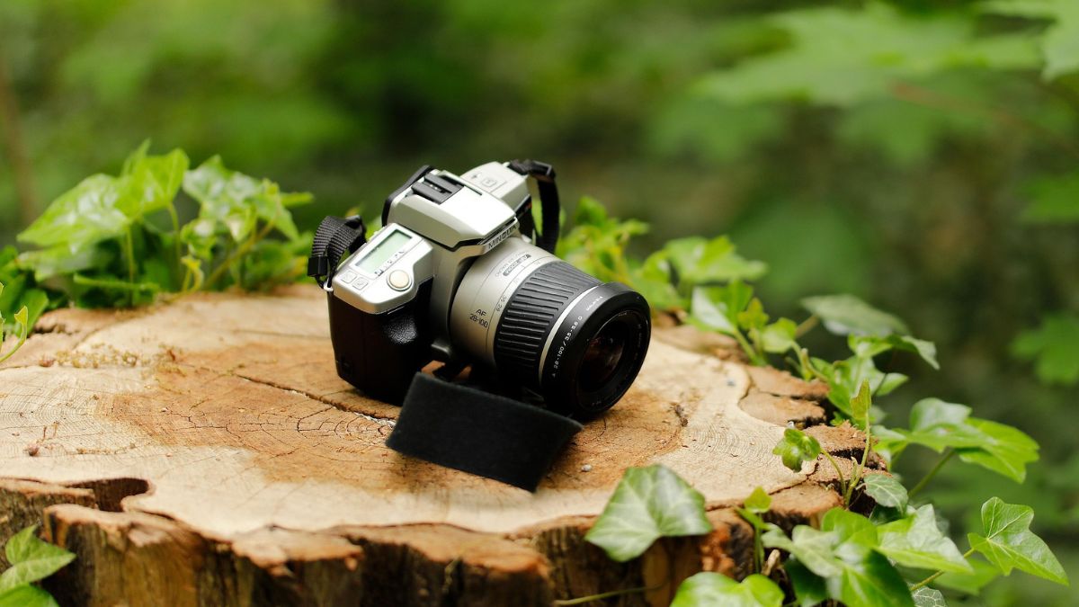 Um olhar treinado transforma cenas simples em imagens marcantes / Pixabay
