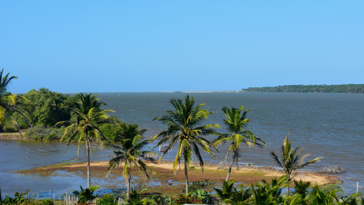A natureza preservada faz do delta um dos destinos mais encantadores do litoral brasileiro / Ralves.felipe/Wikimedia Commons