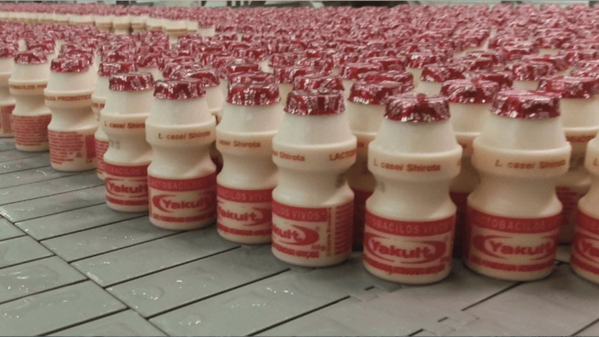 Público acompanha fabricação dos frascos e processo de envase/Reprodução