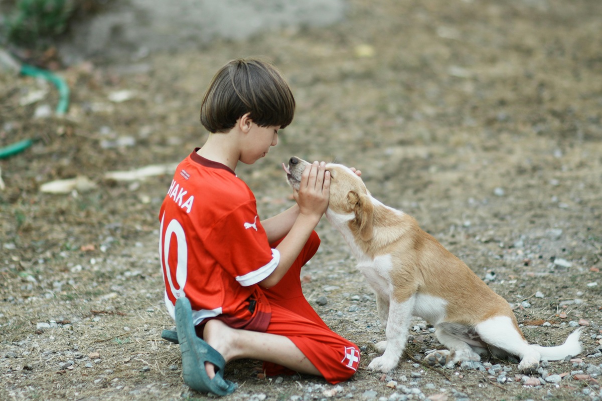 Interagir com cães estimula a liberação de hormônios ligados ao bem-estar emocional (Pexels)