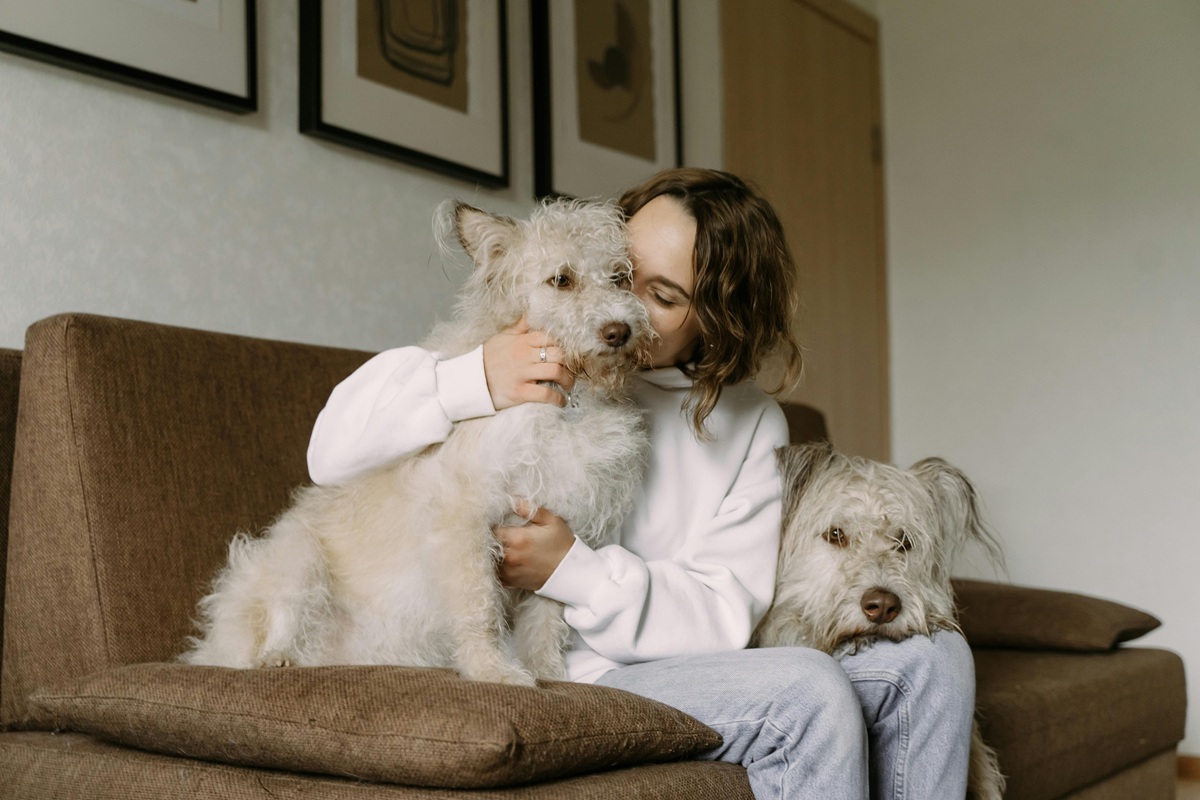 Estudos indicam que o contato com cachorros pode ajudar no controle da pressão arterial (Pexels)