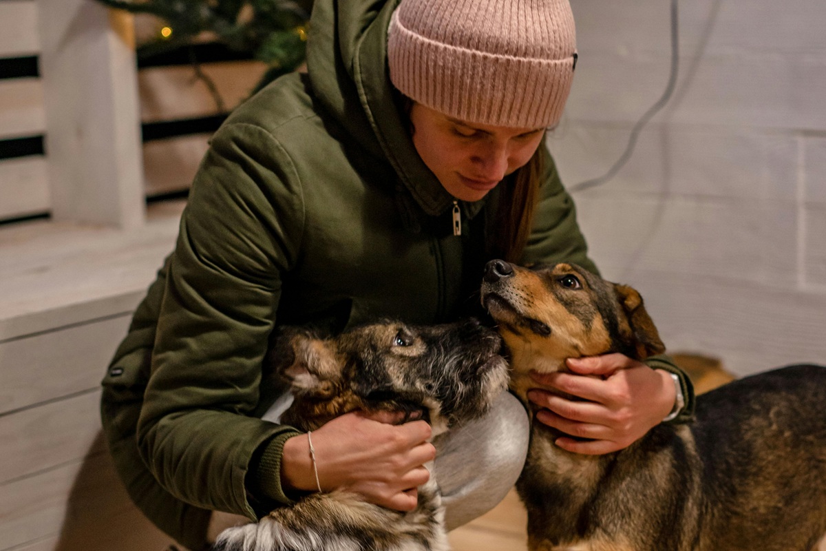 A presença de um cão fortalece vínculos afetivos e combate a sensação de solidão (Pexels)
