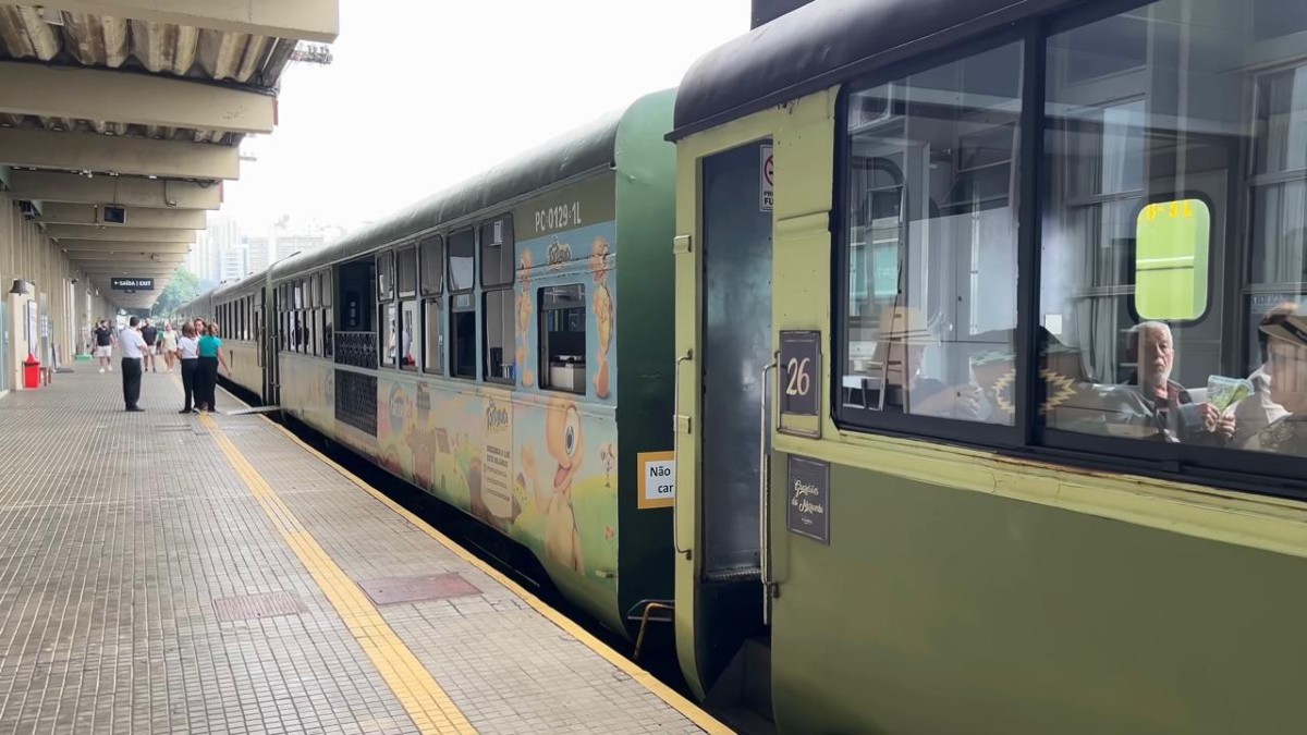 As opções durante a viagem podem variar de acordo com a classe escolhida pelo passageiro, visto que também há a possibilidade de experiências ainda mais exclusivas e pacotes com translado rodoviário e passeios complementares pela região (Youtube/Reprodução)
