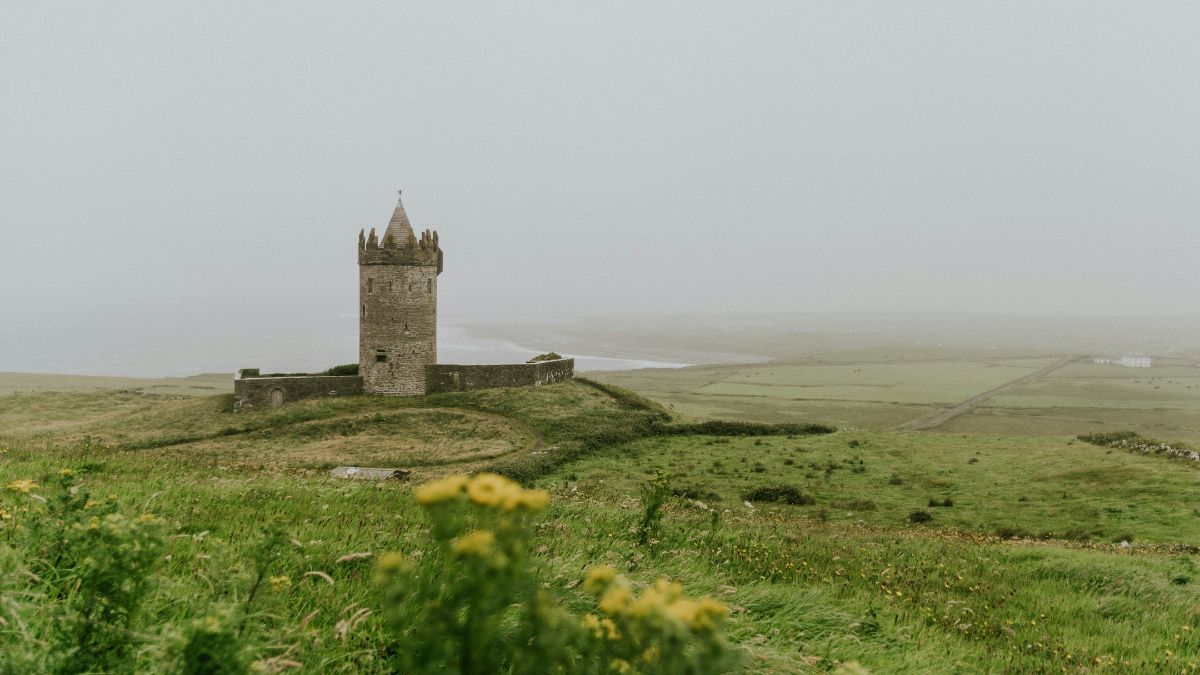 Antes da formação da barreira marítima, alguns mamíferos conseguiram chegar à Irlanda, como ursos marrons, javalis e linces, espécies que habitaram a ilha no passado. Unsplash/Aldo De La Paz