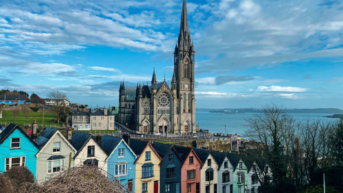 Apesar da tradição, cientistas afirmam que não há registros fósseis ou históricos que comprovem a existência de cobras na Irlanda. Unsplash/Jason Murphy