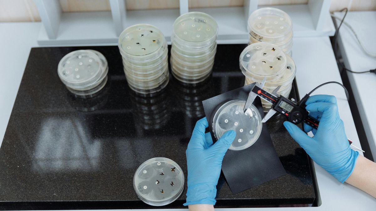 Os exames que confirmaram as infecções foram concluídos antes da transferência para uma ala separada