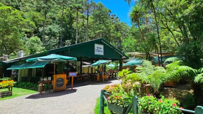 O restaurante Dona Chica Gastronomia apresenta receitas inspiradas na culinária da Mantiqueira durante o Festival Sabor de São Paulo, reforçando a presença de Campos do Jordão no cenário gastronômico paulista