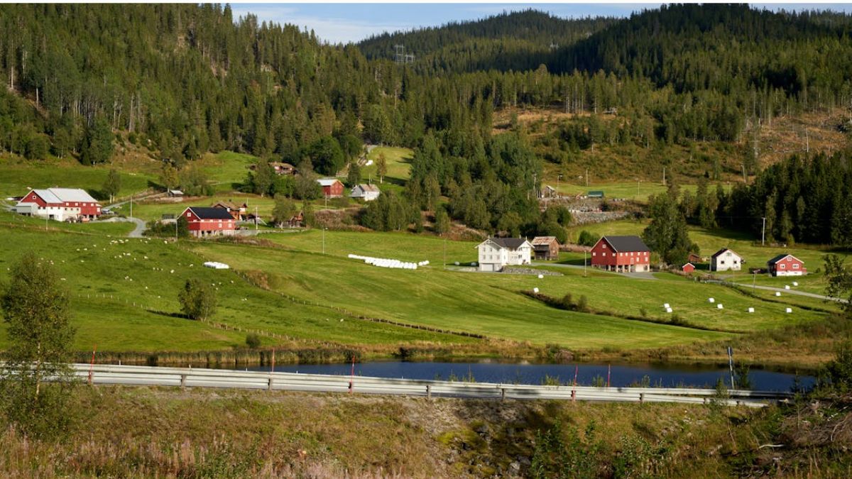 Família de fazendeiros dos Estados Unidos recebeu uma proposta de US$ 26 milhões para venderem suas terras, mas não aceitaram (Imagem Meramente Ilustrativa)