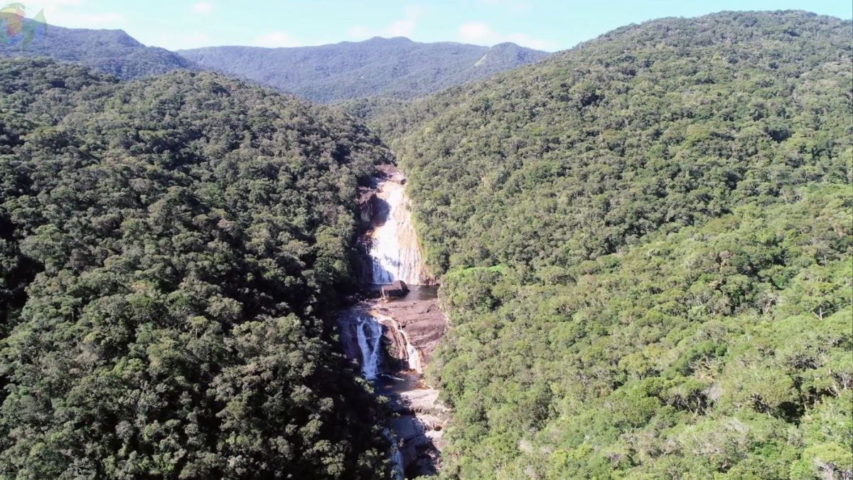 Reprodução Youtube/Coisas do Mundo