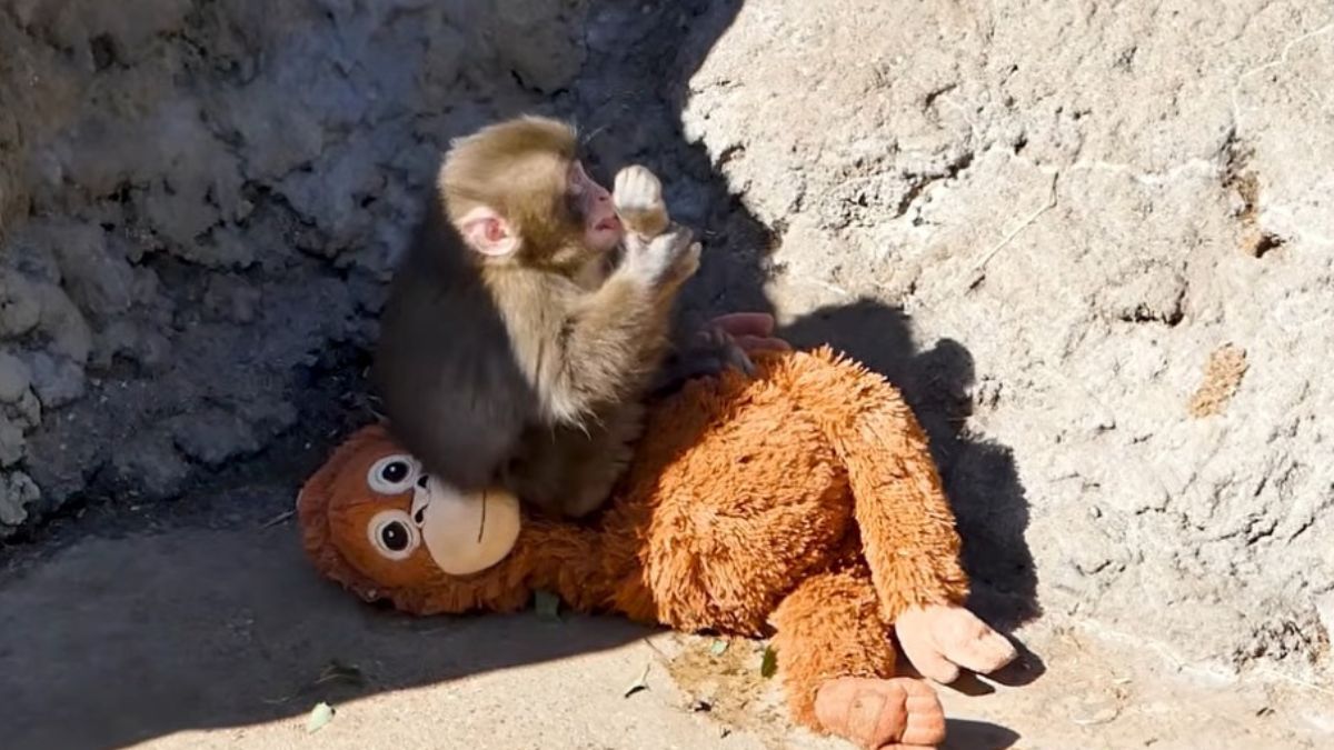 Reprodução/Youtube