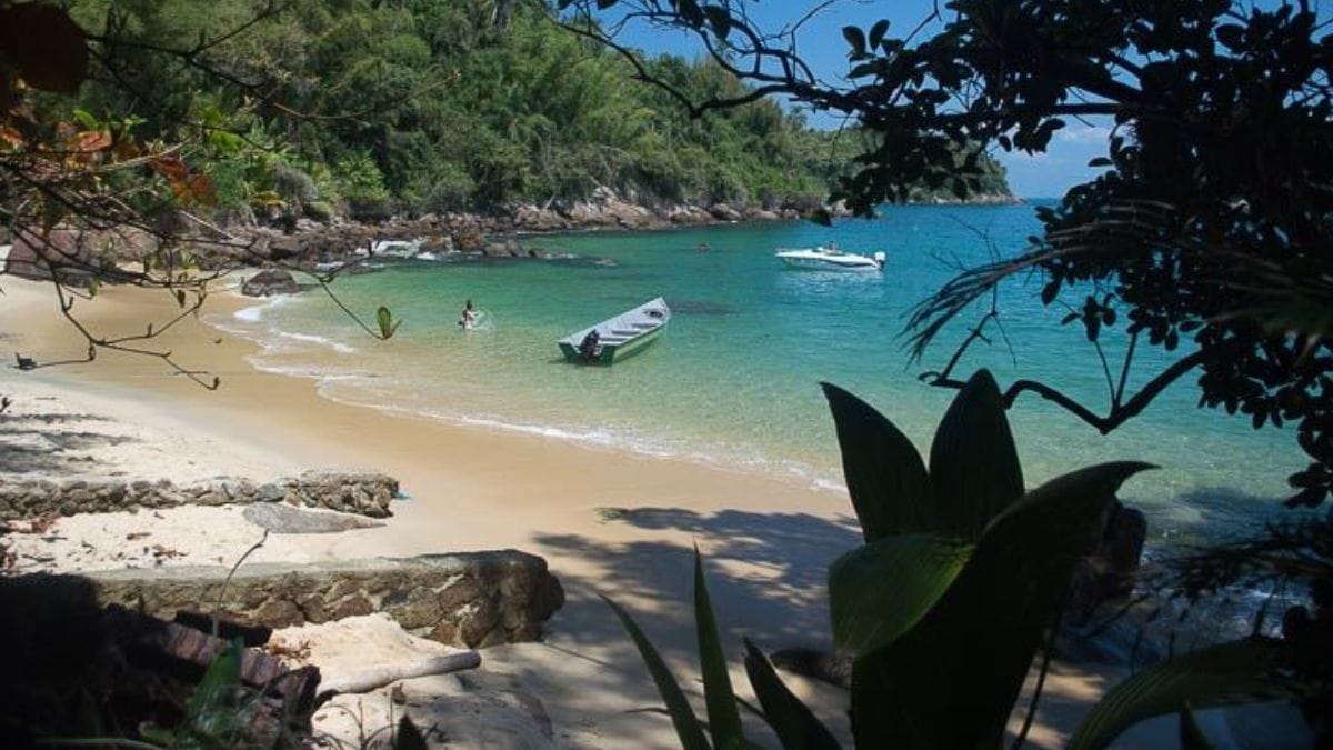 Trilha das Sete Praias, Ubatuba / Foto: Deyves Martins / Wikimedia Commons