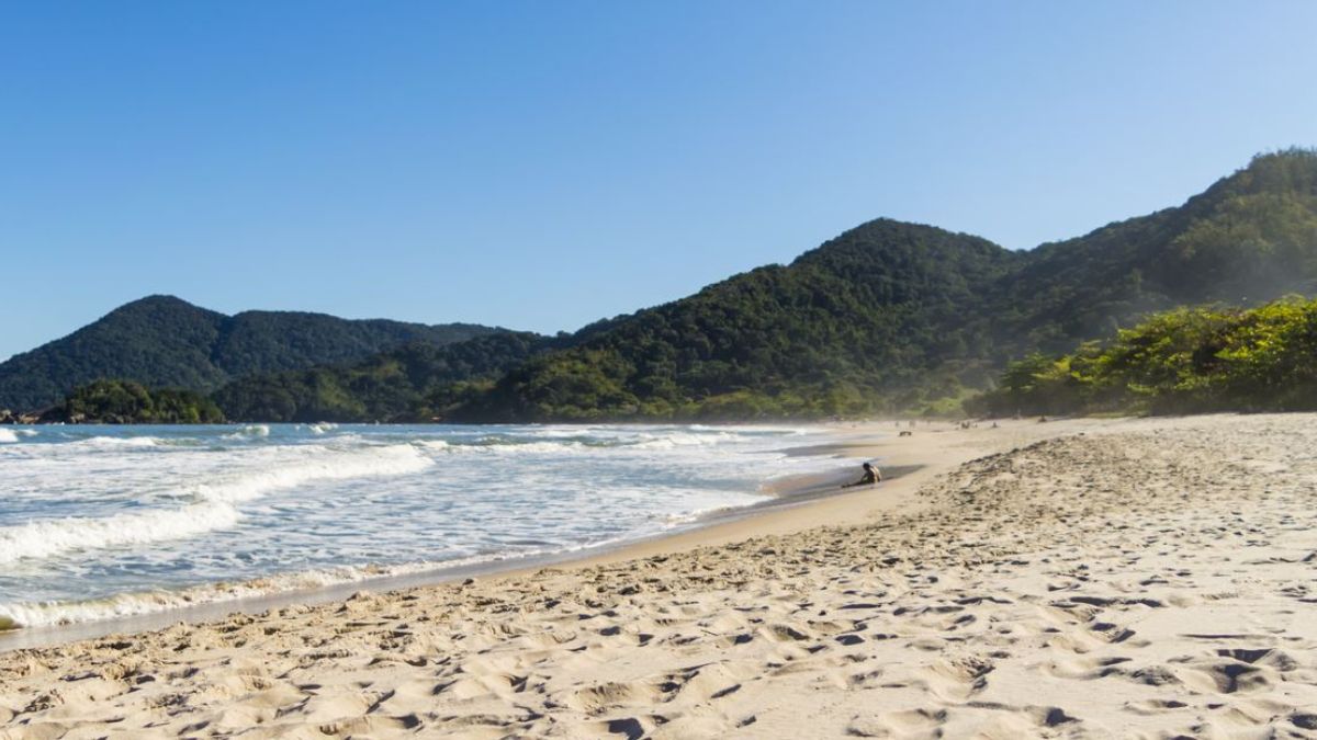 Vista da Prainha Branca Guarujá /Divulgação