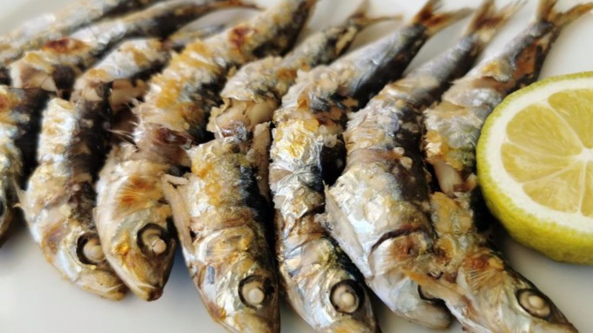 Com impressionantes 32g de proteína a cada 100g, a sardinha lidera o ranking e ainda entrega ômega-3 e cálcio de quebra. Apesar de barata e acessível, muitos brasileiros ainda subestimam esse peixão. Saiba por que ele merece um lugar no seu prato/Freepik