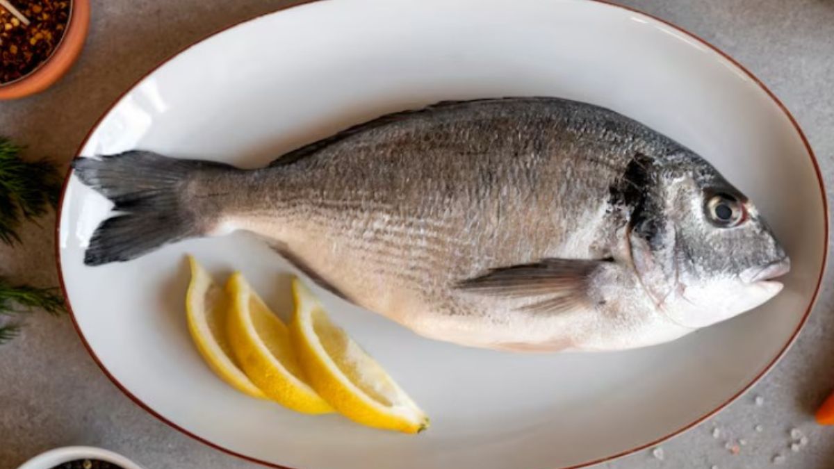 Tilápia e linguado são opções magras, com poucas espinhas e preparo simples, ideais para quem tem rotina corrida mas não abre mão de uma alimentação saudável. Grelhados, assados ou em filés empanados, eles salvam qualquer jantar/Freepik