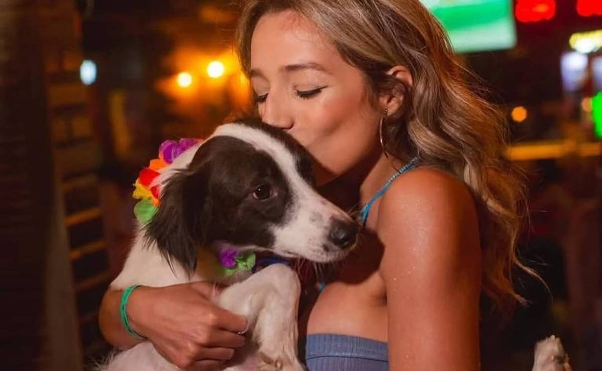 O cachorro a seguiu na rua mancando e ferido, o que levou Samira a levá-lo imediatamente ao veterinário