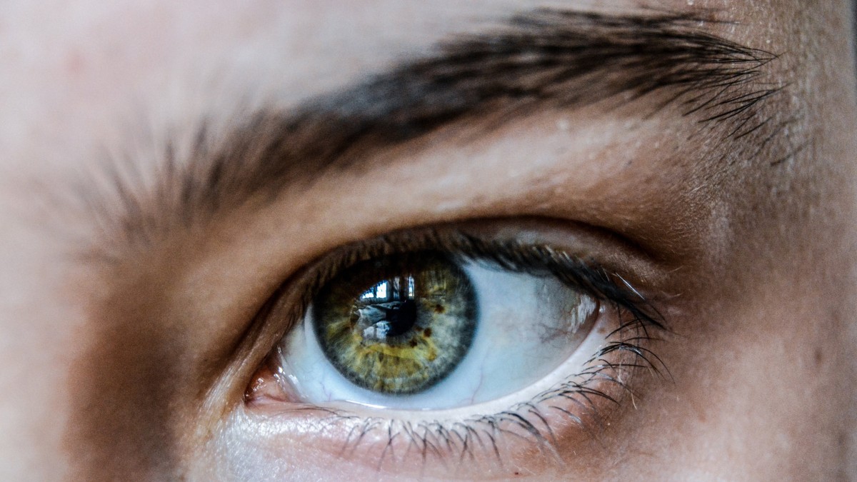Pequenas, mas importantes, as sobrancelhas ajudam a evitar que suor e poeira cheguem aos olhos / Pixabay