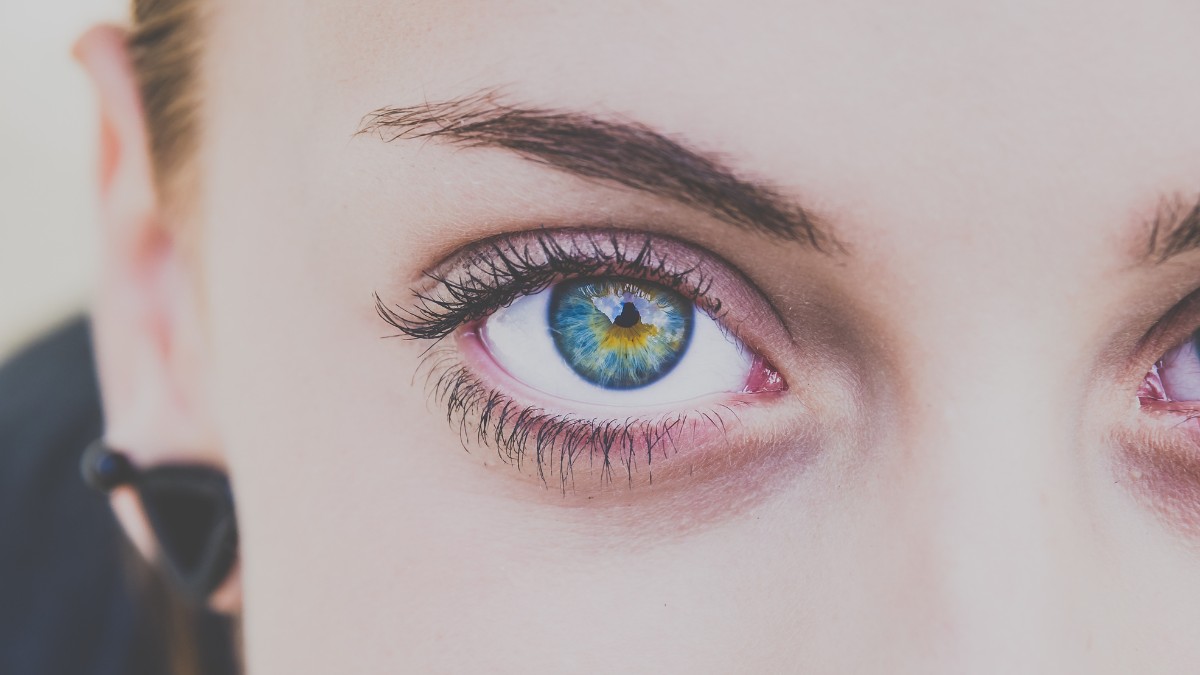 Além da estética, as sobrancelhas têm um papel curioso na comunicação facial / Pixabay