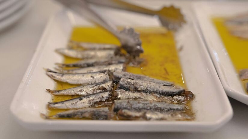 Desembarque da anchova é tolerado somente até 3 de dezembro após início do defeso /Unsplash