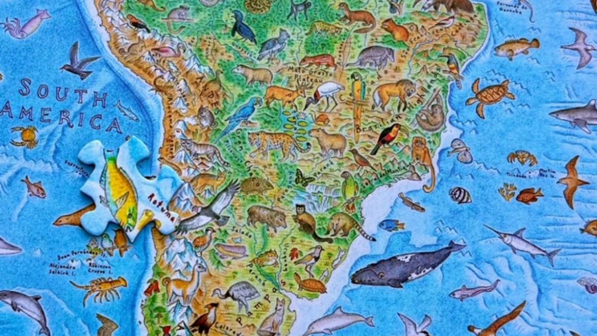 Mapa Wild World reúne 1.642 espécies em representação sem fronteiras políticas /Instagram