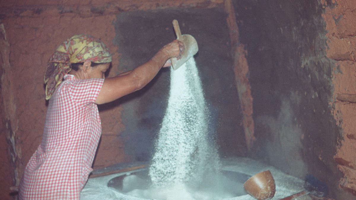 Acervo reúne mais de cinco mil fotografias sobre cultura caiçara no litoral norte