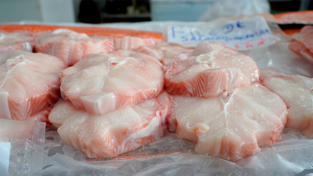 Mercado Muncipal de Peixes de Santos / Renan Lousada