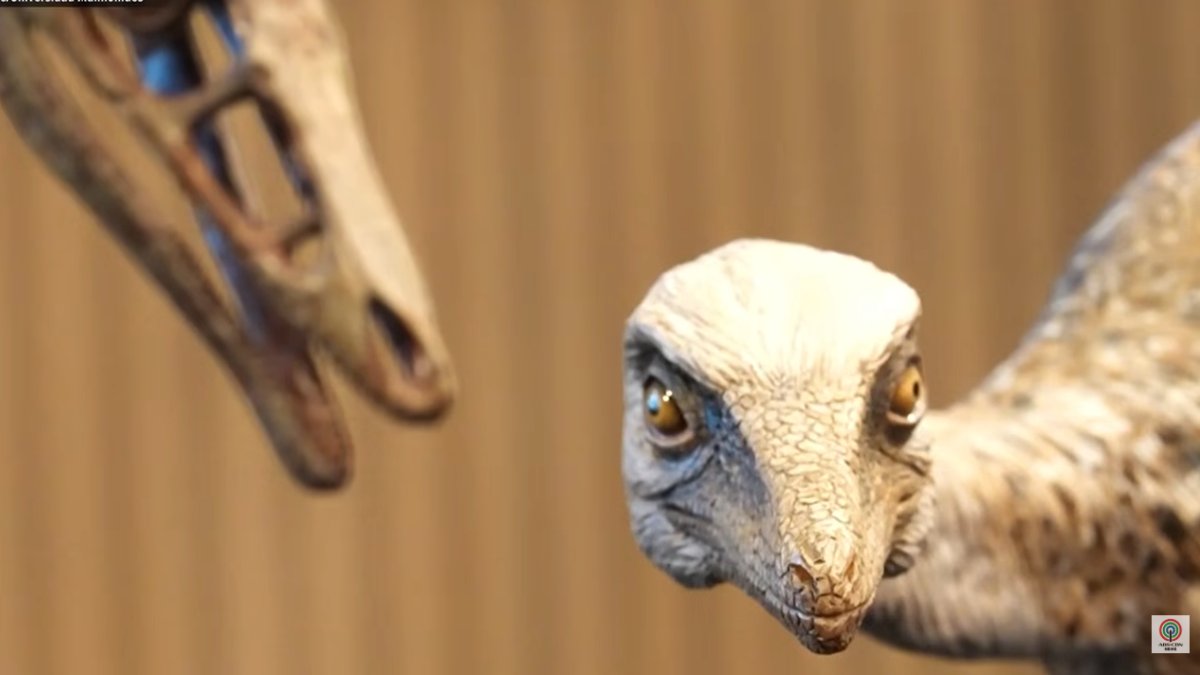 Fóssil analisado por pesquisadores desafia hipótese antiga sobre o encolhimento do grupo