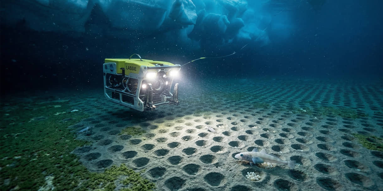Robô Lassie ilumina ninhos no fundo do mar da Antártida