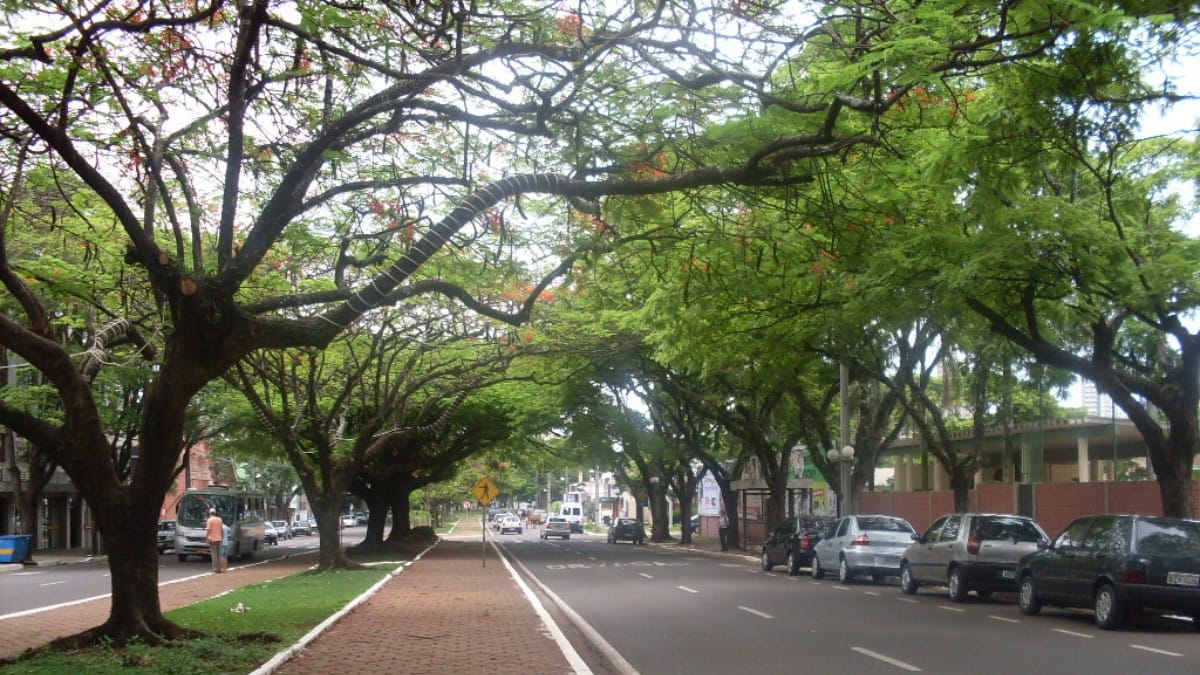 Com avenidas largas e muitas árvores, Maringá se destaca pelo equilíbrio entre urbanização e natureza / José Claudio Marcott/Wikimedia Commons