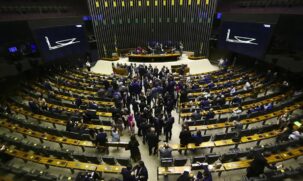 O tema tem gerado divergências no Congresso Nacional