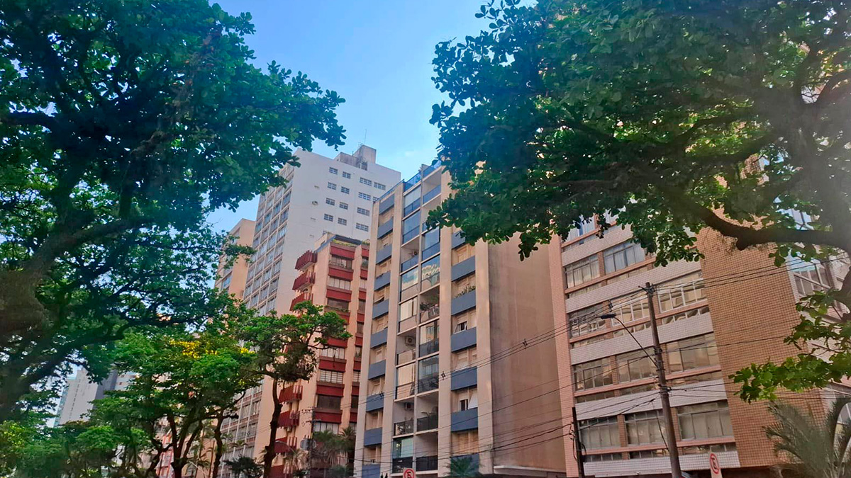 Renan/DL