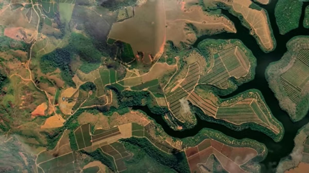 O lugar existe desde 2011, e opta por técnicas naturais para cultivar a grande quantidade de cacau