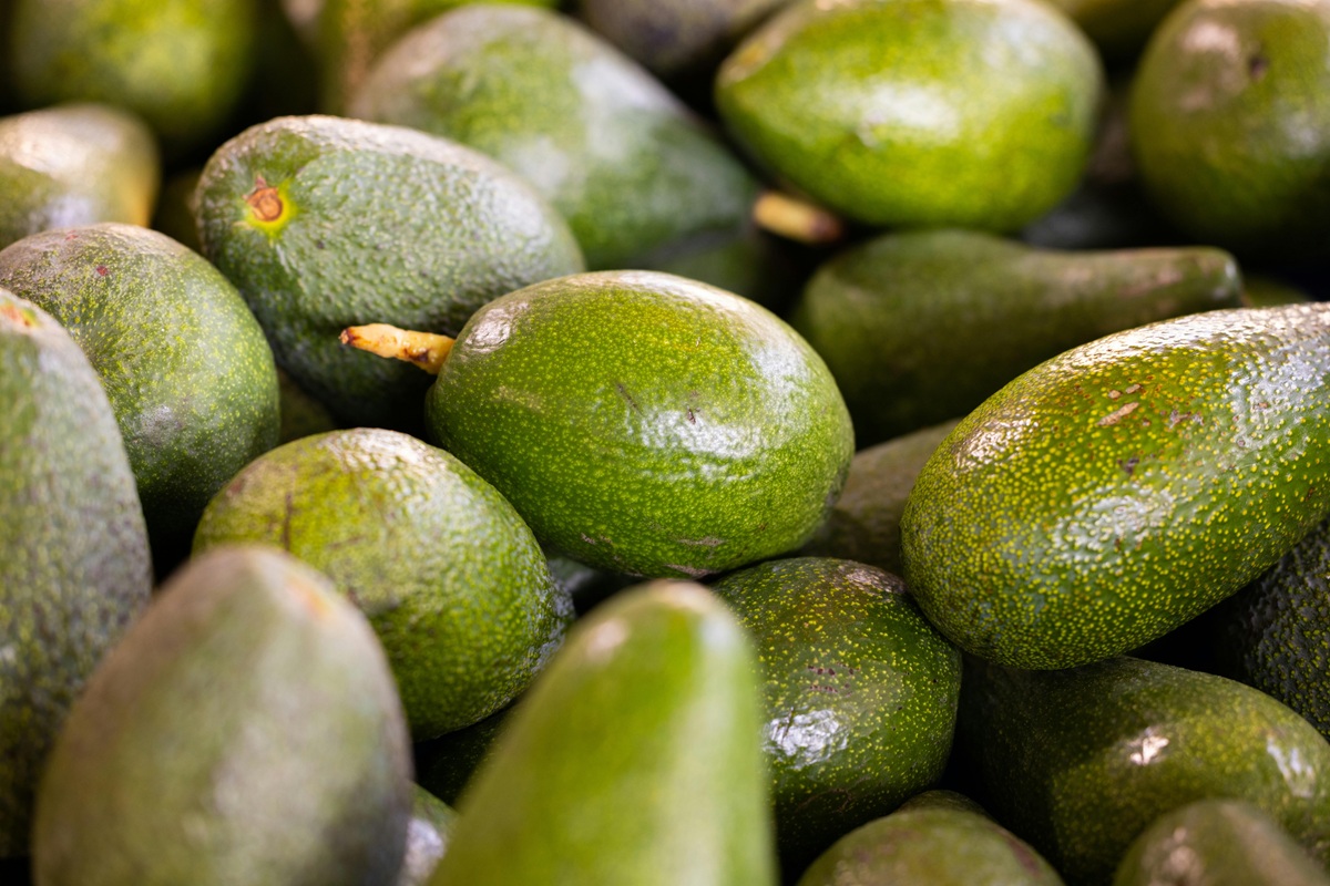 Março e abril são meses favoráveis para os fãs de abacate e outras frutas da 'época'