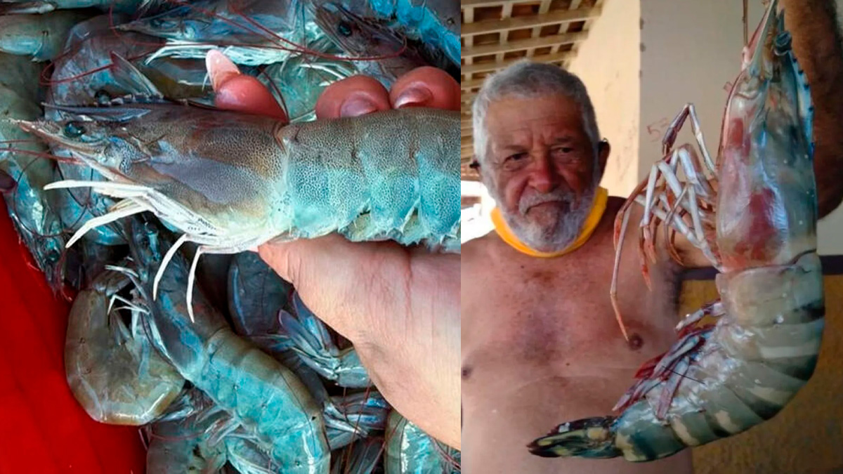 Um dos casos mais marcantes aconteceu em 2021, na cidade de Tibau, no litoral da Costa Branca.