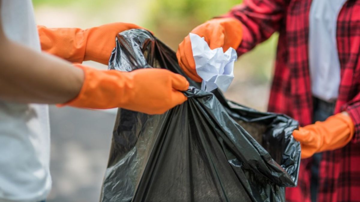 Denúncias podem ser feitas pela Ouvidoria ou pela Guarda Civil Municipal