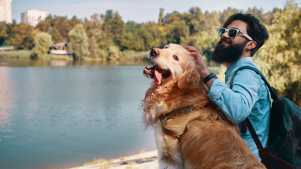 De cardápios exclusivos a transporte na cabine, turismo pet friendly já é realidade no país